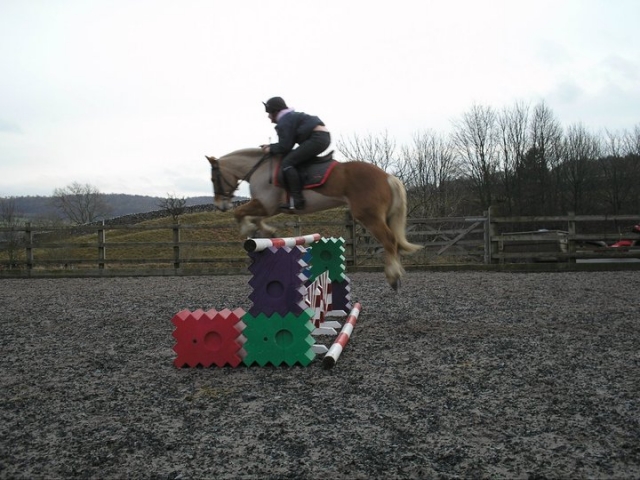  Max jumping 